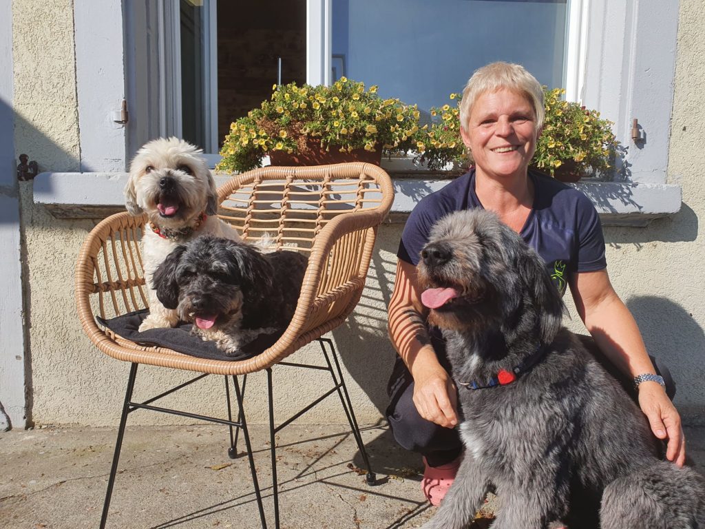 Hunde Coiffeur mit Hunden